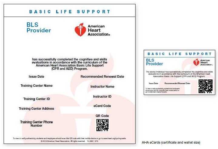 Master The American Heart Association BLS Test 2023 Answers Revealed