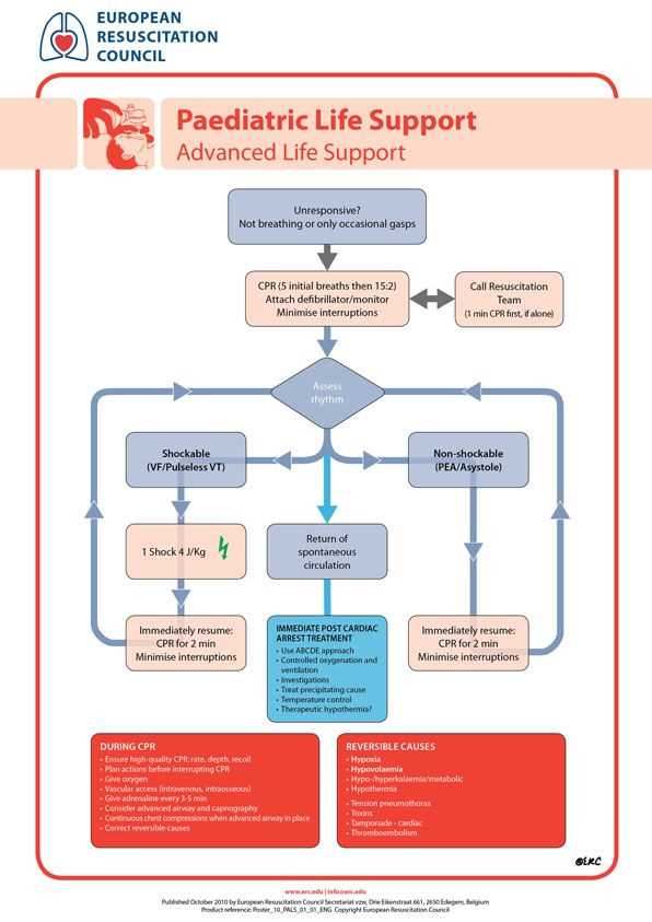 Unlocking The Answers To The Pediatric Advanced Life Support Post Test